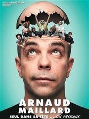 Arnaud Maillard L'Estrel Arena Affiche