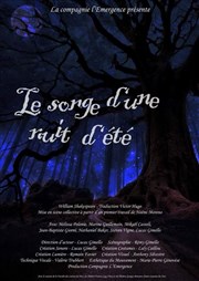 Le songe d'une nuit d'été Espace Magnan Affiche