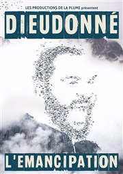 Dieudonné dans En Vérité Centre culturel l'ampoule Affiche