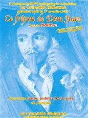 Ce fripon de Dom Juan La Comdie Italienne Affiche