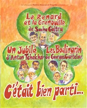 C'était bien parti ! Thtre de Nesle - grande salle Affiche