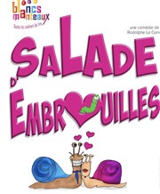 Salade d'embrouilles We welcome Affiche