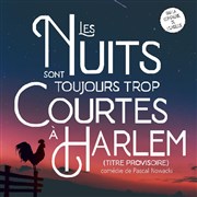 Les nuits sont toujours trop courtes à Harlem Thtre de l'Embellie Affiche