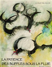 La patience des buffles sous la pluie Thtre du Pole Culturel Auguste Escoffier Affiche