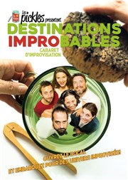 Destination improbable L'Art D Affiche