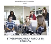 Stage 2h : Prendre la parole en réunion Centre de Danse d'Alsia Affiche