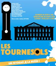 La Clinique des Tournesols Thtre de Nesle - grande salle Affiche