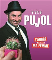 Yves Pujol dans J'adore toujours ma femme Zinga Zanga Affiche