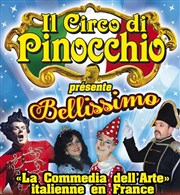 Il Circo di Pinocchio | Vierzon Chapiteau Il Circo di Pinocchio  Vierzon Affiche