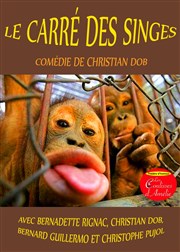 Le carré des singes Les Coulisses d'Amlie Affiche