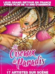 Les oiseaux de Paradis Opra de Massy Affiche