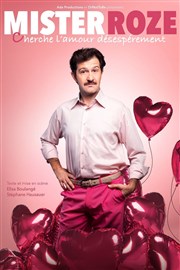 Mister Roze cherche l'amour désespérément Thtre du Marais Affiche