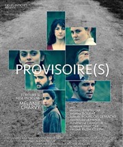 Provisoire(s) Thtre du Grand Pavois Affiche