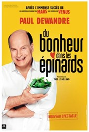 Paul Dewandre dans Du bonheur dans les épinards Thtre  l'Ouest de Lyon Affiche