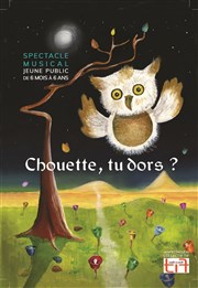 Chouette, tu dors ? Thtre Divadlo Affiche