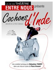 Cochons d'Inde Espace Culturel Altitude 500 Affiche