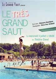 Le Très Grand Saut Thtre Clavel Affiche