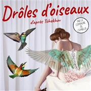 Drôles d'oiseaux Thtre de l'Embellie Affiche