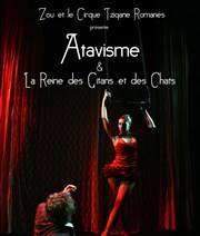 Atavisme & La Reine des chats et des gitans Cirque Tzigane Romans Affiche