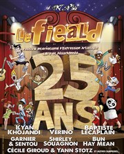 Les 25 ans du FIEALD La Cigale Affiche