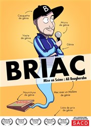 Briac dans Génie Ordinaire La Nouvelle comdie Affiche