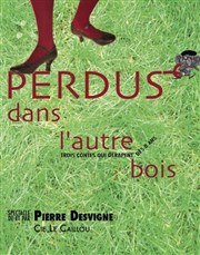 Perdus dans l'autre bois La Cour des Miracles Affiche