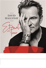 David Hallyday : Eternel tour Thtre du casino de Deauville Affiche