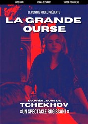 La Grande Ourse Thtre Pixel Affiche