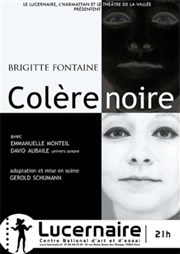 Colère noire Thtre Le Lucernaire Affiche