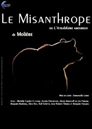 Le Misanthrope Thtre de la Lib Affiche