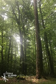 Nous étions la forêt L'toile du nord Affiche