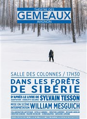 Dans les forêts de Sibérie Thtre des Gmeaux - salle des Colonnes Affiche