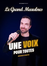 Le Grand Meaulnes dans Une voix pour toutes Le Lieu Affiche