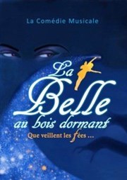 La Belle au bois dormant que veillent les fées... Thtre Roger Lafaille Affiche