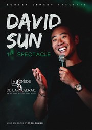 David Sun dans 1er spectacle Comdie de la Roseraie Affiche