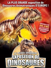 Le Musée Éphémère® : Exposition de dinosaures à Nice Palais des Expositions - Nice Acropolis Affiche