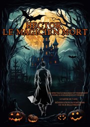 Hector : Le magicien mort Thtre Bellecour Affiche