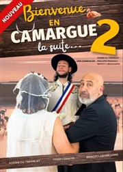 Bienvenue en Camargue 2 (la suite) L'Odeon Montpellier Affiche