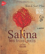 Salina, les trois exils Thtre des 2 Rives Affiche