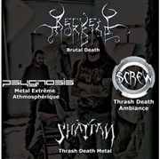 Transylvania Metal Night I : Recueil Morbide - Psygnosis - Shaytan - Screw Chez Drey Affiche