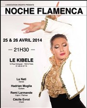 Noche Flamenca Le Kibl Affiche