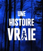 Une Histoire Vraie Thtre La Luna Affiche