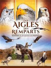 Les Aigles des Remparts Les Aigles des Remparts Affiche