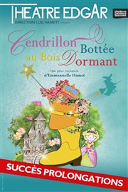 Cendrillon bottée au bois dormant Thtre Edgar Affiche