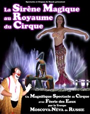 La sirène magique au royaume du cirque Ple de loisirs Hippodrome Lyon Carr de Soie Affiche