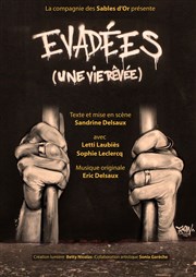 Evadées ! (une vie rêvée) Thtre Odysse Affiche