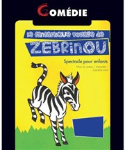 Le fantastique voyage de Zebrinou La Comdie des Suds Affiche