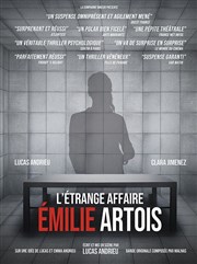 L'étrange affaire Émilie Artois Hall des expositions Affiche