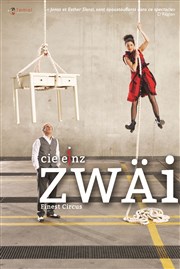 Compagnie E1nz, Zwai Collge de la Salle Affiche