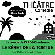 Le Béret de la Tortue Thtre de l'Embellie Affiche